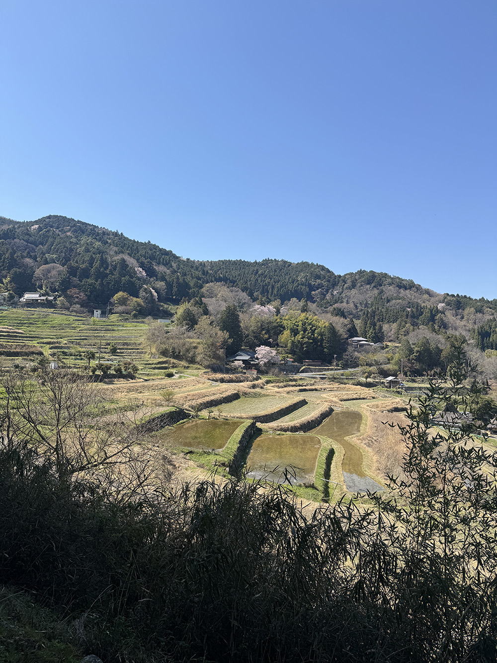 大阪北摂エリアの山域