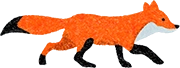 キタキツネ